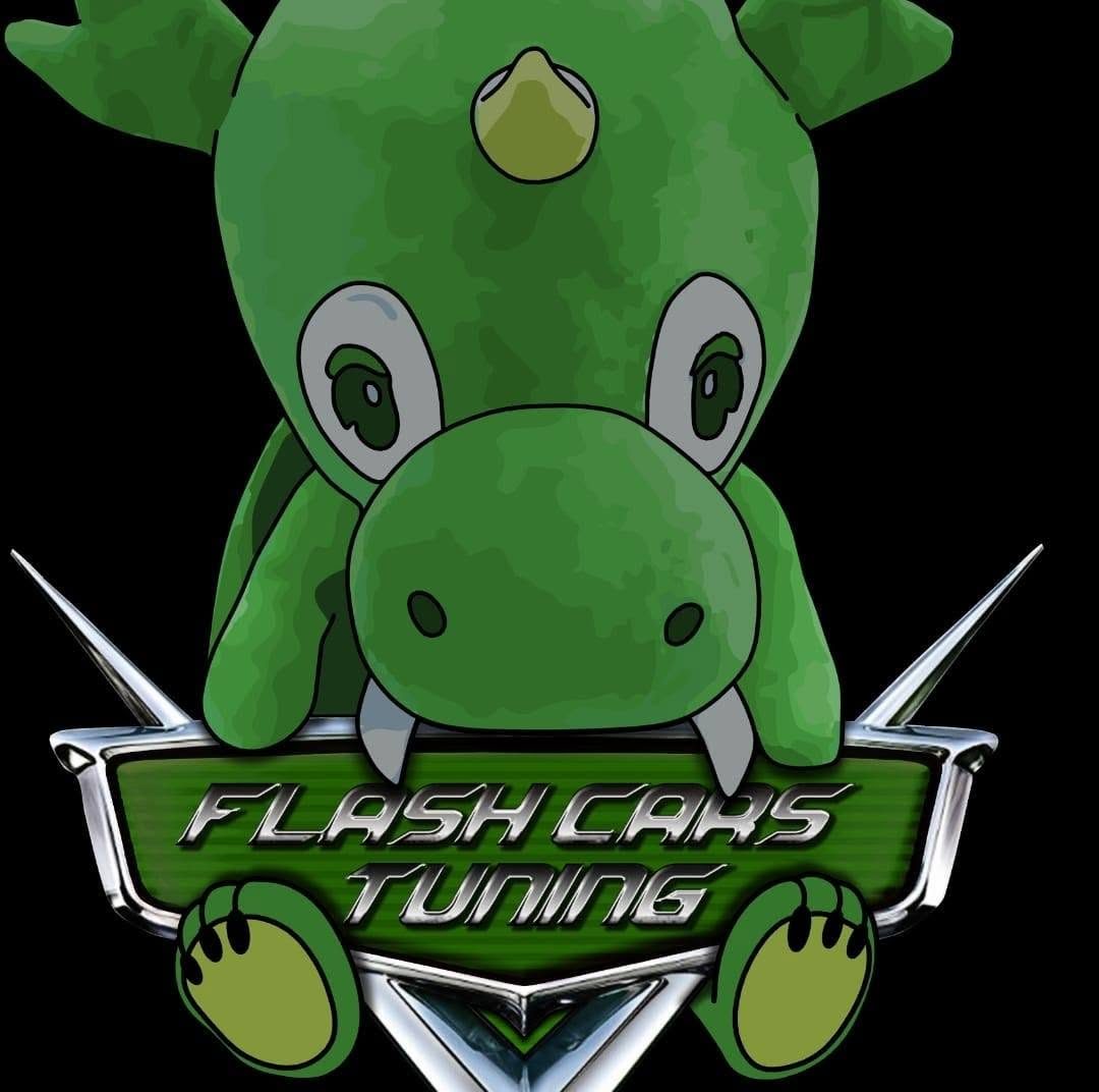 FLASH CARS TUNING