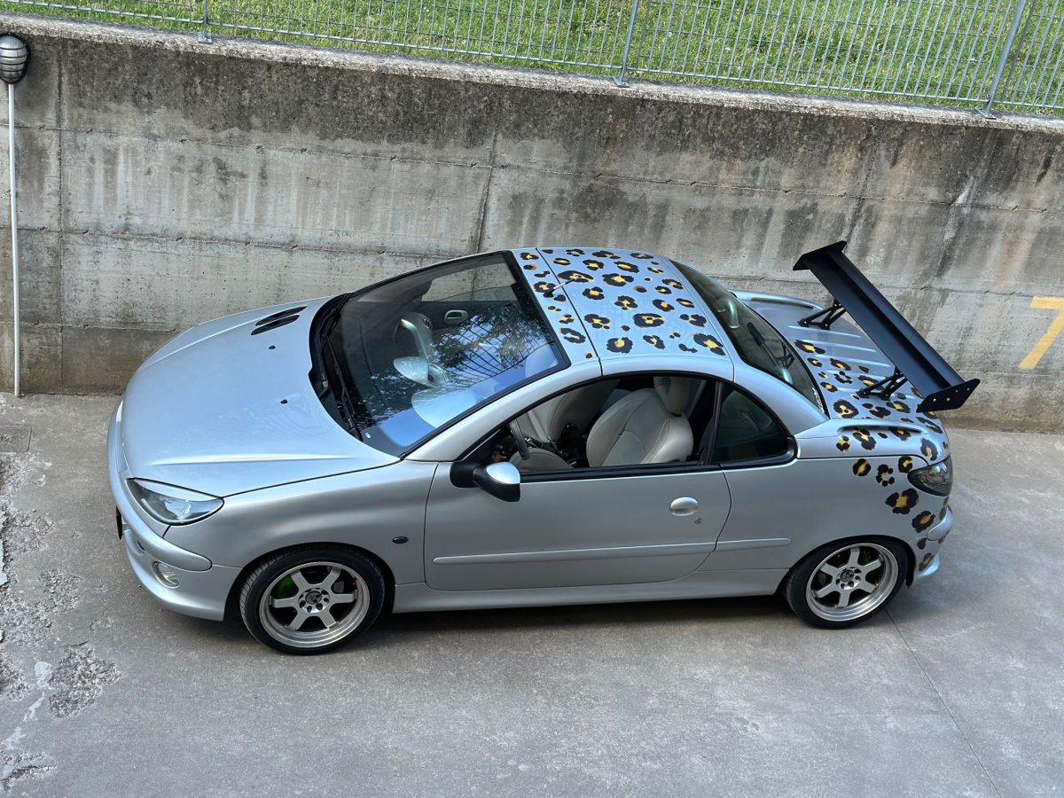 Peugeot 206cc (2004) foto 2