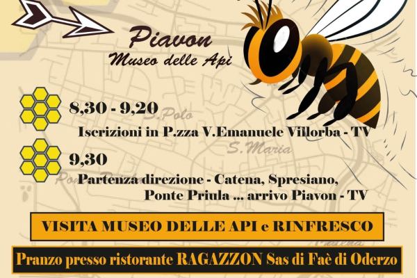 Raduno Villorba Auto Storiche