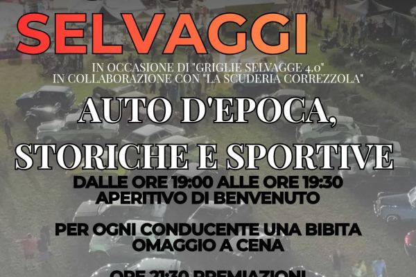 MOTORI SELVAGGI